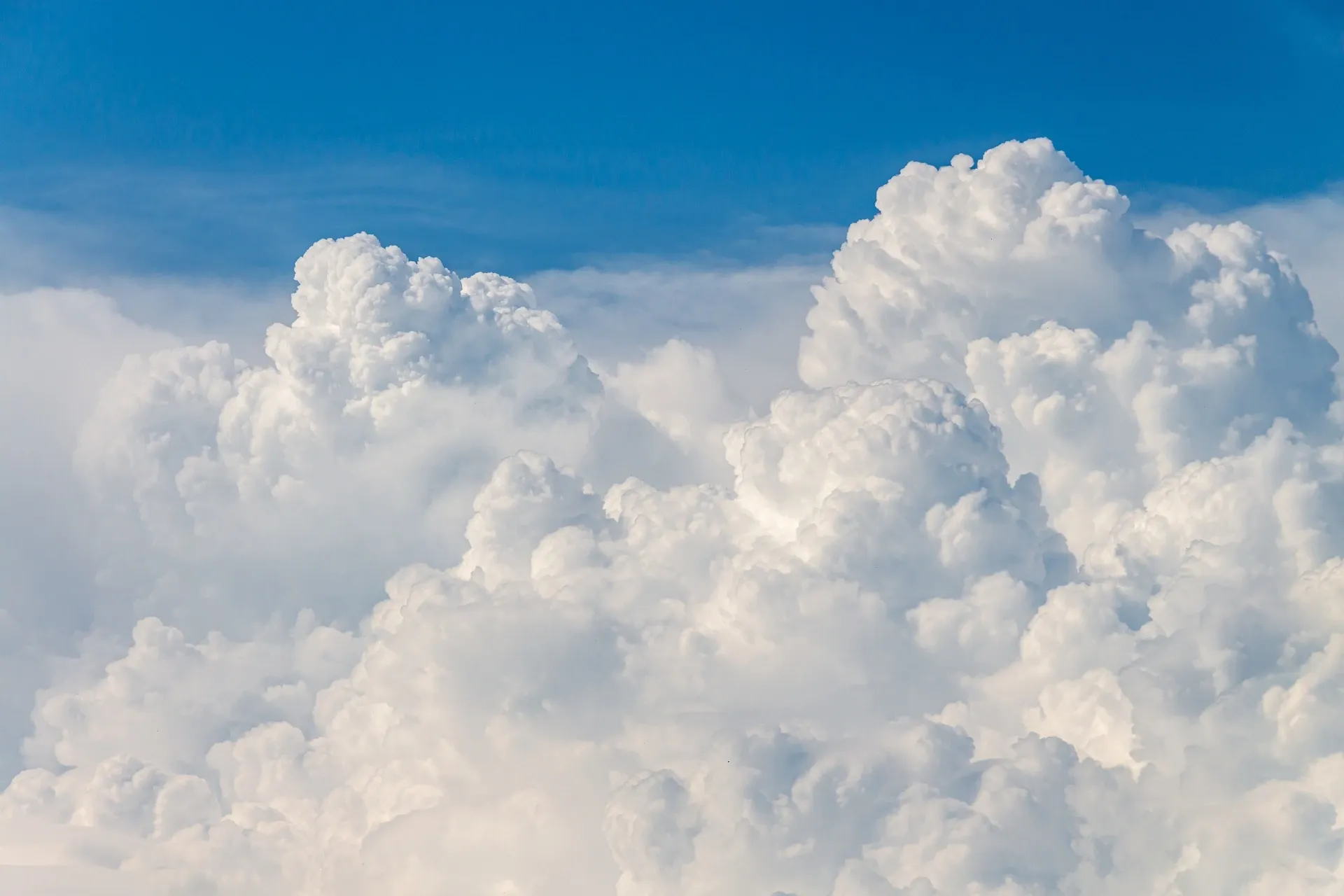test-image